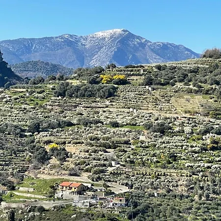 Uliveto Bianco Vakantiehuis Vallebona